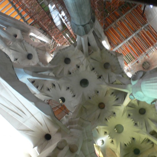 diedel_structur20902